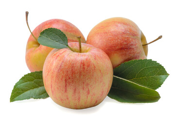 fruits of apples