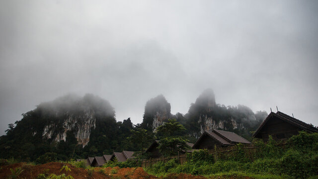 fogy hills