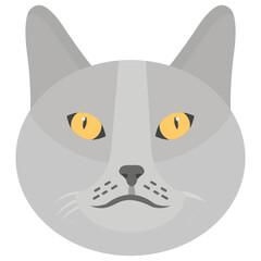 Cat  © Prosymbols