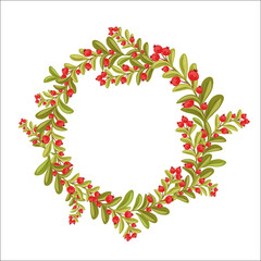 Decorative vector wreath of cranberries, red berries. Round frame on white background