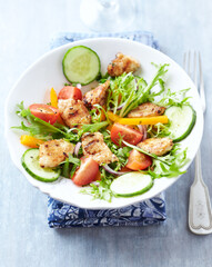 Healthy Salad with Chicken Breast, Cherry Tomatoes, Cucumber, Orange Pepper, Endive and Red Onion. Close up.