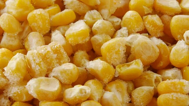 Frozen corn on a plate.