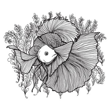 recommend clip art: Betta fish design