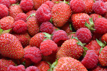 Ripe raspberries and strawberries are heaped in an even layer.