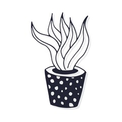 Potted desert plant