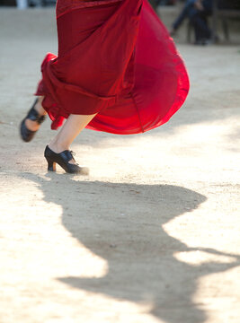 Close-up of Flamenco dancer performing.