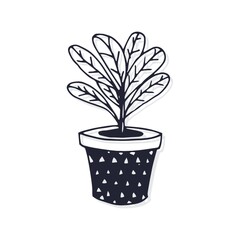 Potted desert plant