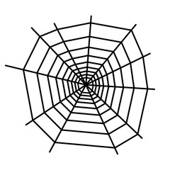 Spider web concept
