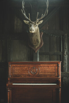 mounted above piano