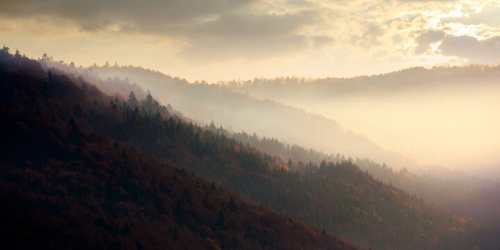 dramatic autumn dawn in mountains. beautiful nature background. fog above the forested hills in red foliage