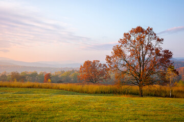 gorgeous countryside at dawn in autumn. trees in colorful foliage on the grassy field. mountains in the distance