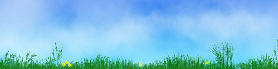 Breiter Hintergrund mit grüner Wiese und Blumen und einem blauen Himmel