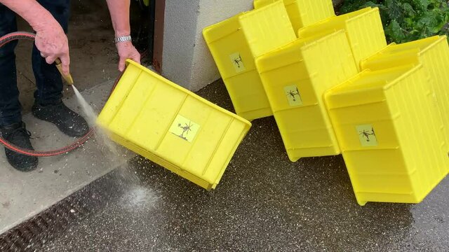 Liestal, Switzerland - September 22, 2020: After the harvest, a woman washes the yellow plastic boxes in which the pickers used to pick the grapes