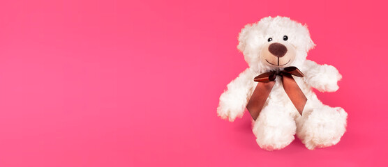 Teddy bear furry toy for kids isolated on pink background. Cheerful posotive romantic bear.