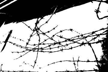 Fototapeta premium Texture mottled silhouette vector detail abstract black and white monochrome vector Barbed wire barbed fence anti-theft plot wall cracked metal iron brushed real brick wall