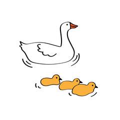 Mother geese swimming with cute little baby goslings. Vector illustration in cartoon style on isolated white background for icons, logos or cards