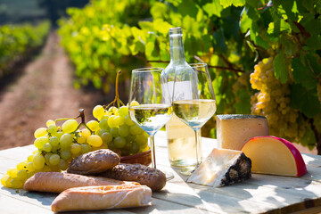 Picturesque still life - white wine, grapes and cheese against vineyard landscape
