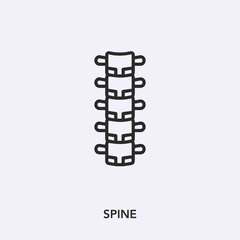 spine icon vector sign symbol