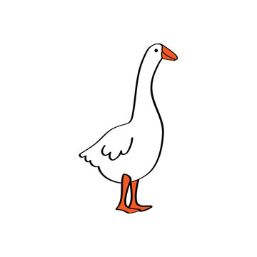 Cartoon Goose Images – Browse 24,888 Stock Photos, Vectors, and