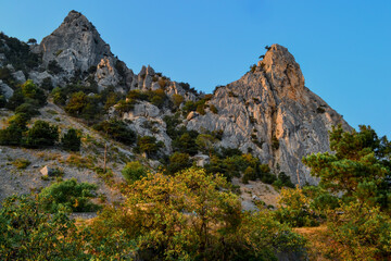 Green trees and bushes grow on steep side of mountain with sharp rocks, peaks in warm orange sunset light. Crimea. Blue sky. Bottom view