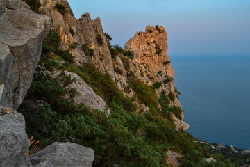 coniferous green trees and bushes grow on sharp steep cliff, crag on coast of blue sea, in warm orange light of sunset. Crimea