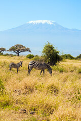 Fototapeta na wymiar Trip to the Horn of Africa, Kenya