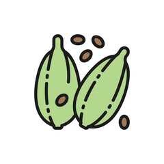 Cardamom, spice flat color line icon. Isolated on white background