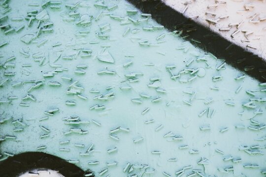 Staples covered in spray paint