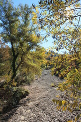 paesaggi natura fiumara