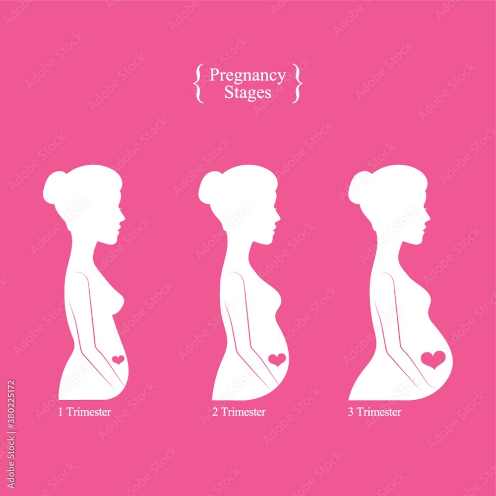 Sticker pregnancy stages