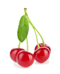 Red cherry isolated on white background close-up.