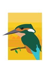 british kingfisher bird
