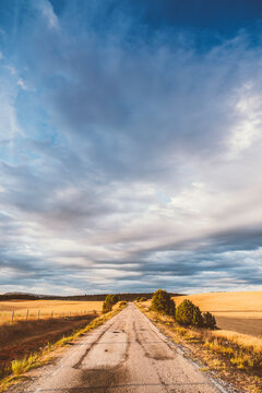 detail of a road