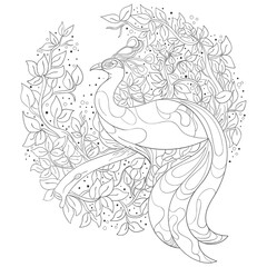 Intricate peacock design coloring book vector