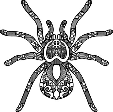 Intricate spider design