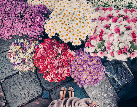 Woman Looking at Flowers