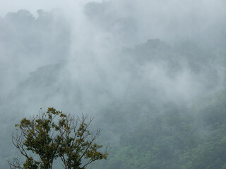 Photos of Fog and mountains at Khao yai National Park , Thailand.