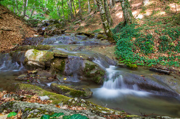 A small waterfall in the forest. Long exposure