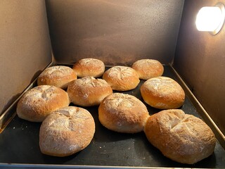Brötchen backen im Steinbackofen
