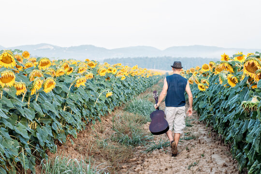 Guitar player walking away on the road in the middle of the sunflower field