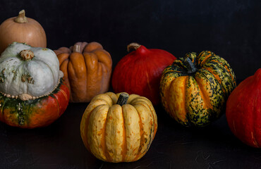 Autumn harvest. Ripe colorful pumpkins