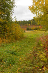 Rural landscape in the fall