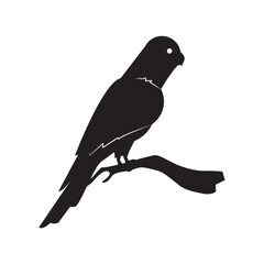 silhouette of bird