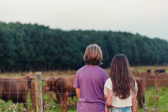 A boy and a girl standing at a fence looking at Scottish Highlander cows