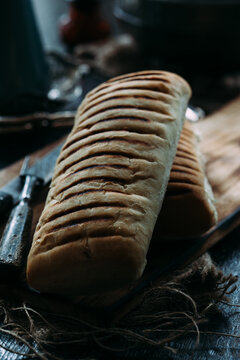 Toasted panini bread