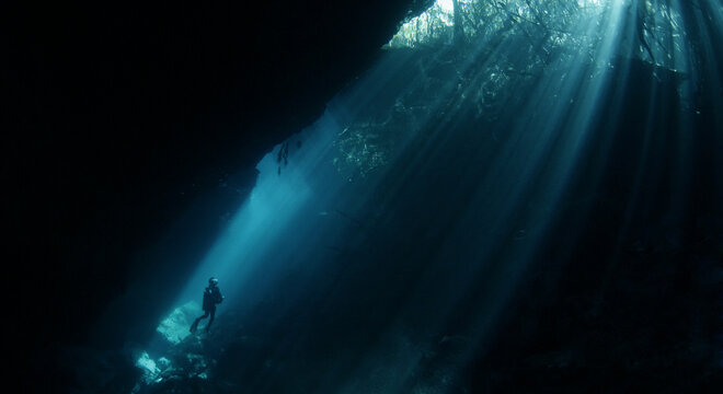 diver and sun light