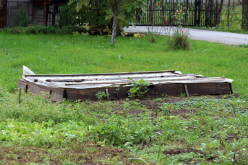 Obraz na płótnie Canvas Freshly planted lettuce in part of local home urban garden covered with improvised nylon protection and surrounded with wooden boards next to other plants and uncut green grass on warm autumn day