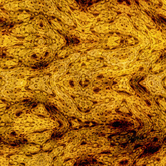 abstract fractal pattern