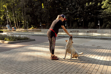 A young pregnant woman in sportswear and a baseball cap trains her dog in a city park on a clear warm day. Training sessions with a labrador dog.