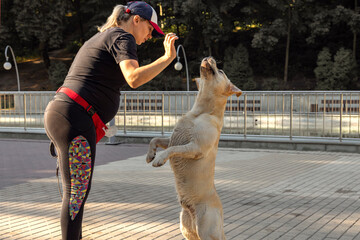 A young pregnant woman in sportswear and a baseball cap trains her dog in a city park on a clear warm day. Training sessions with a labrador dog.